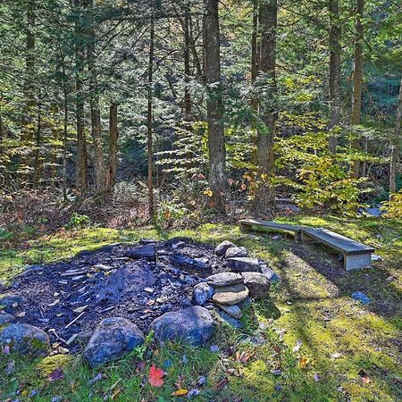 Remote Cabin With Fire Pit 3 Miles To Stowe Mtn! Екстер'єр фото